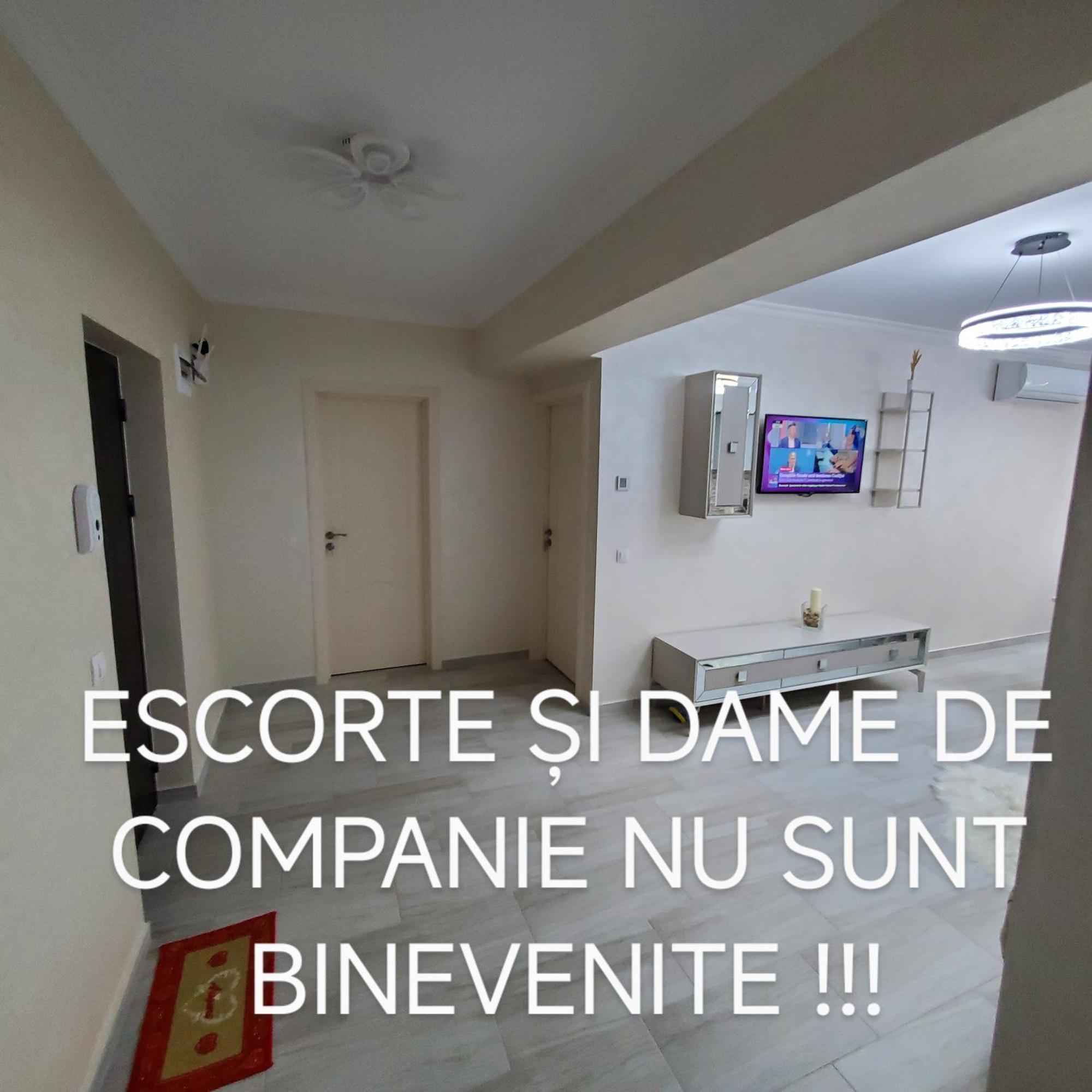 Luxury Apartament Bacovia Bacău Dış mekan fotoğraf